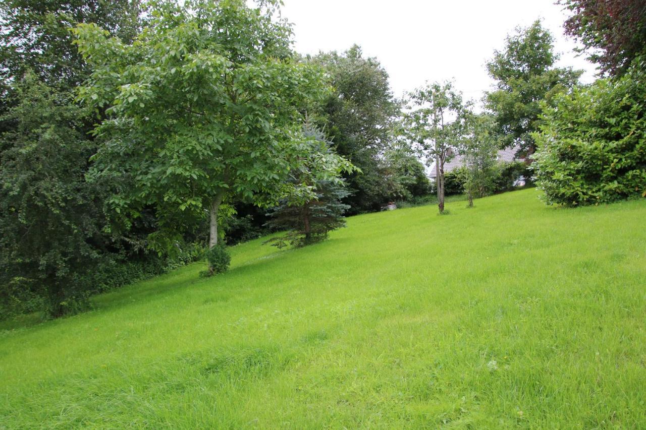 Ferienhaus Eifelnest Scheid  エクステリア 写真